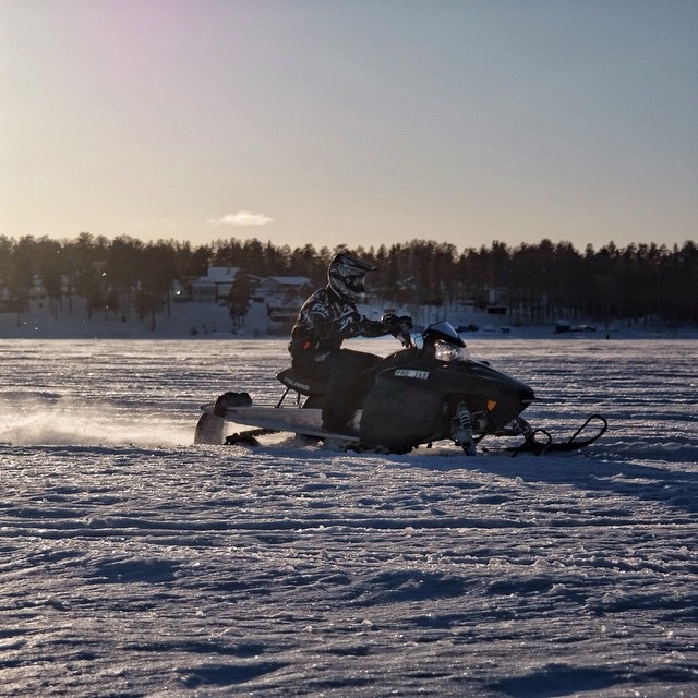 Skoterförare på Luleåisen