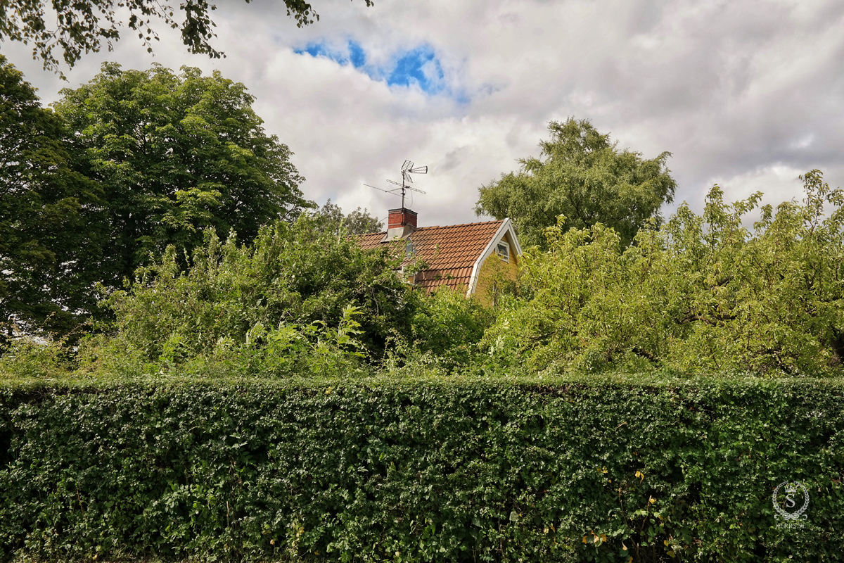 Villa bakom grönska - Herr S