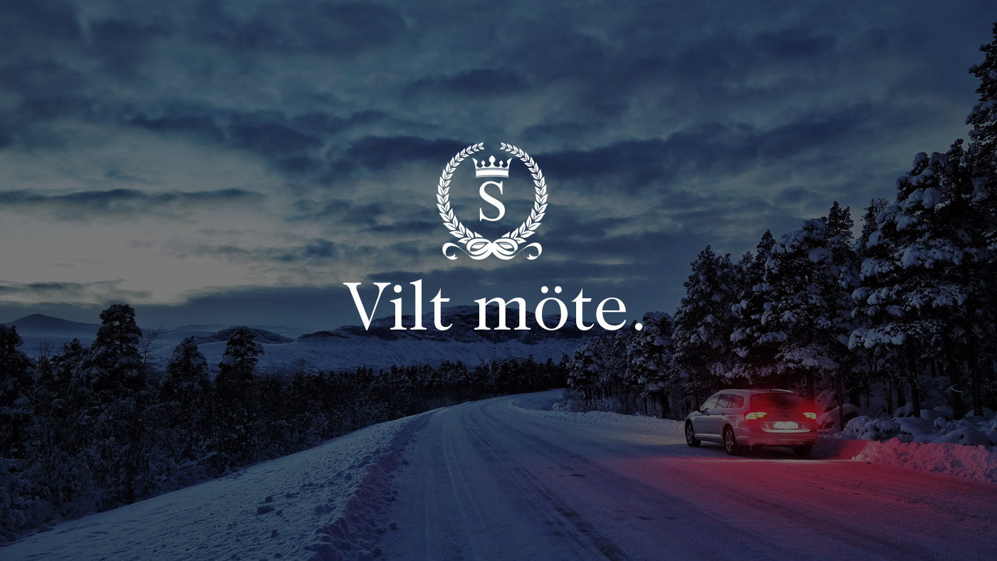 Möte med vilt - Herr S