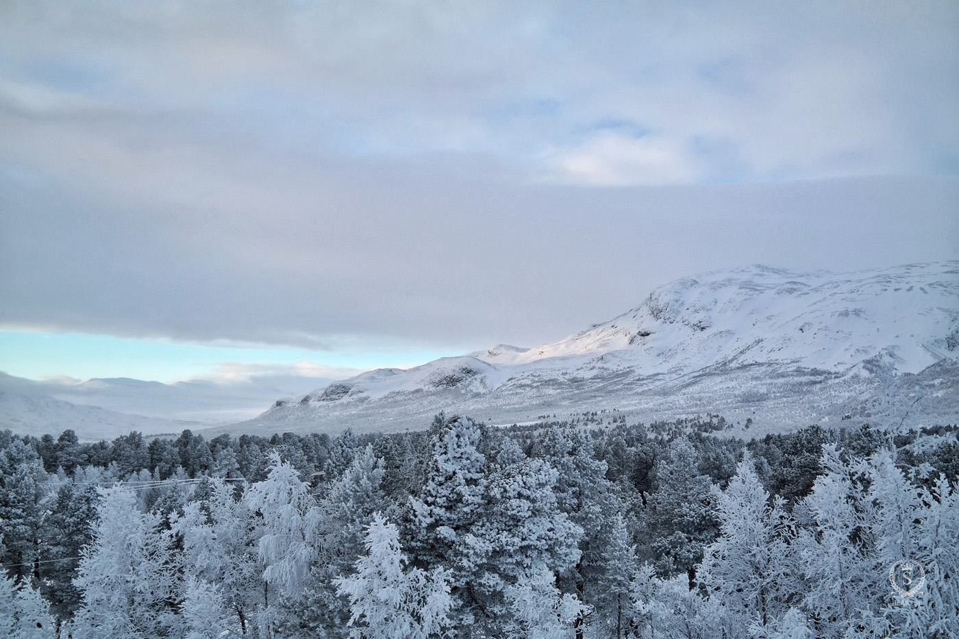 Stora Sjöfallet National Park - Herr S