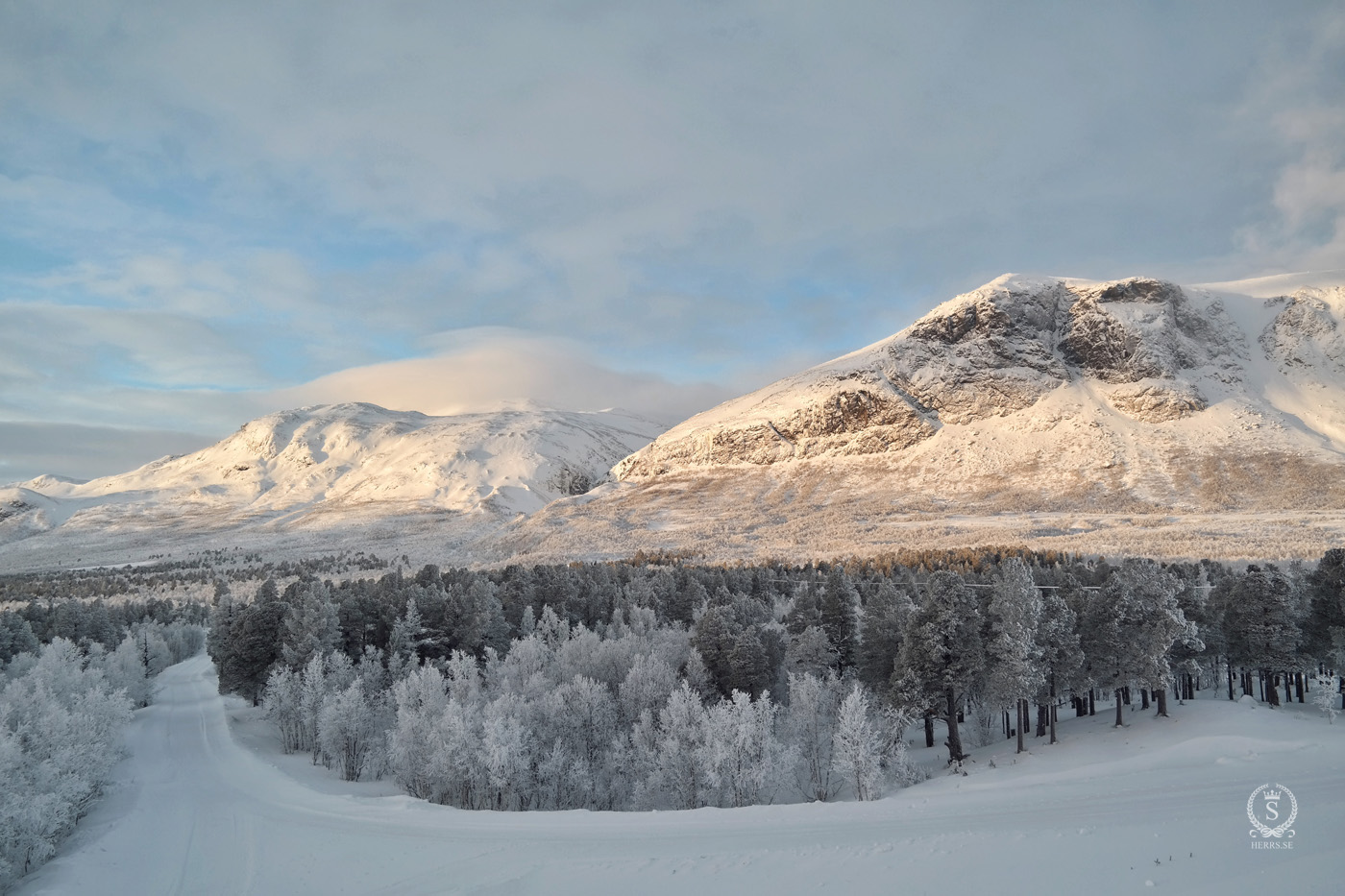 Stora Sjöfallet National Park - Herr S