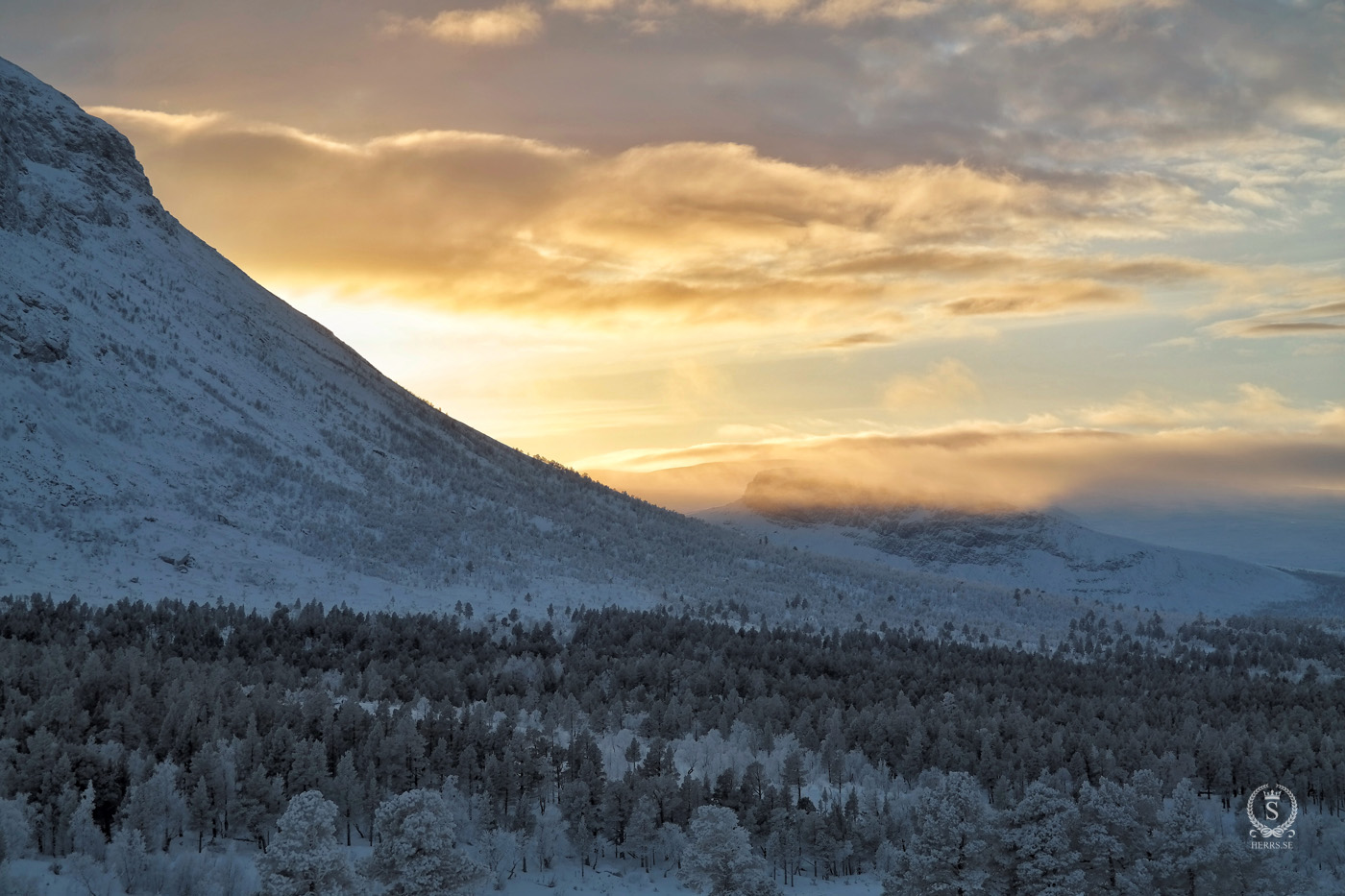 Stora Sjöfallet National Park - Herr S