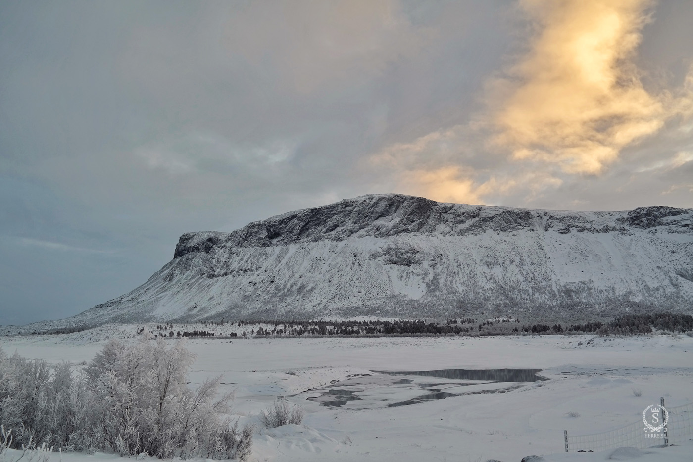 Stora Sjöfallet National Park - Herr S