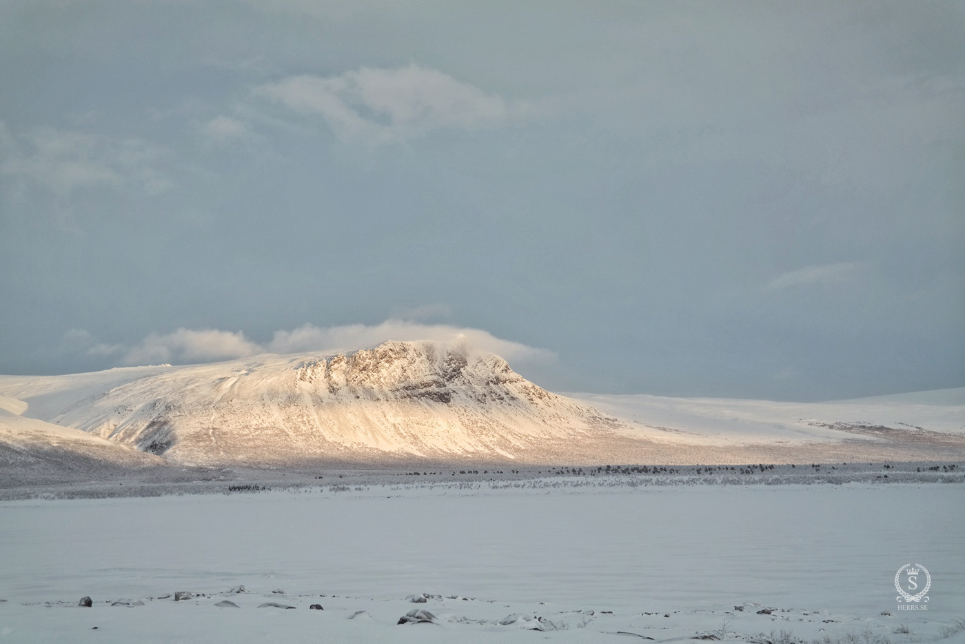 Stora Sjöfallet National Park - Herr S