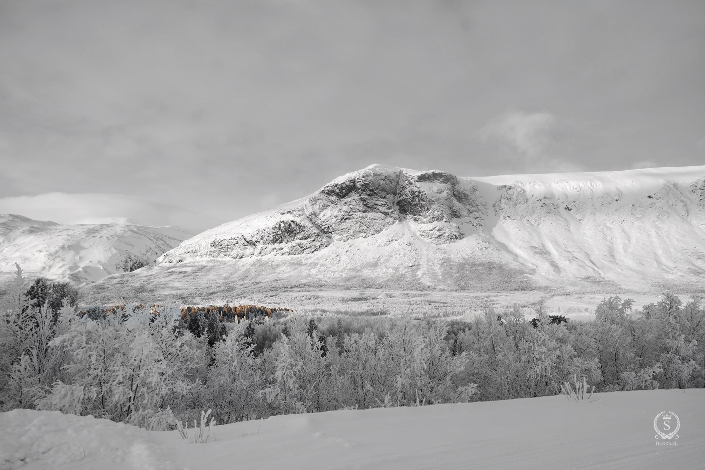 Stora Sjöfallet National Park - Herr S