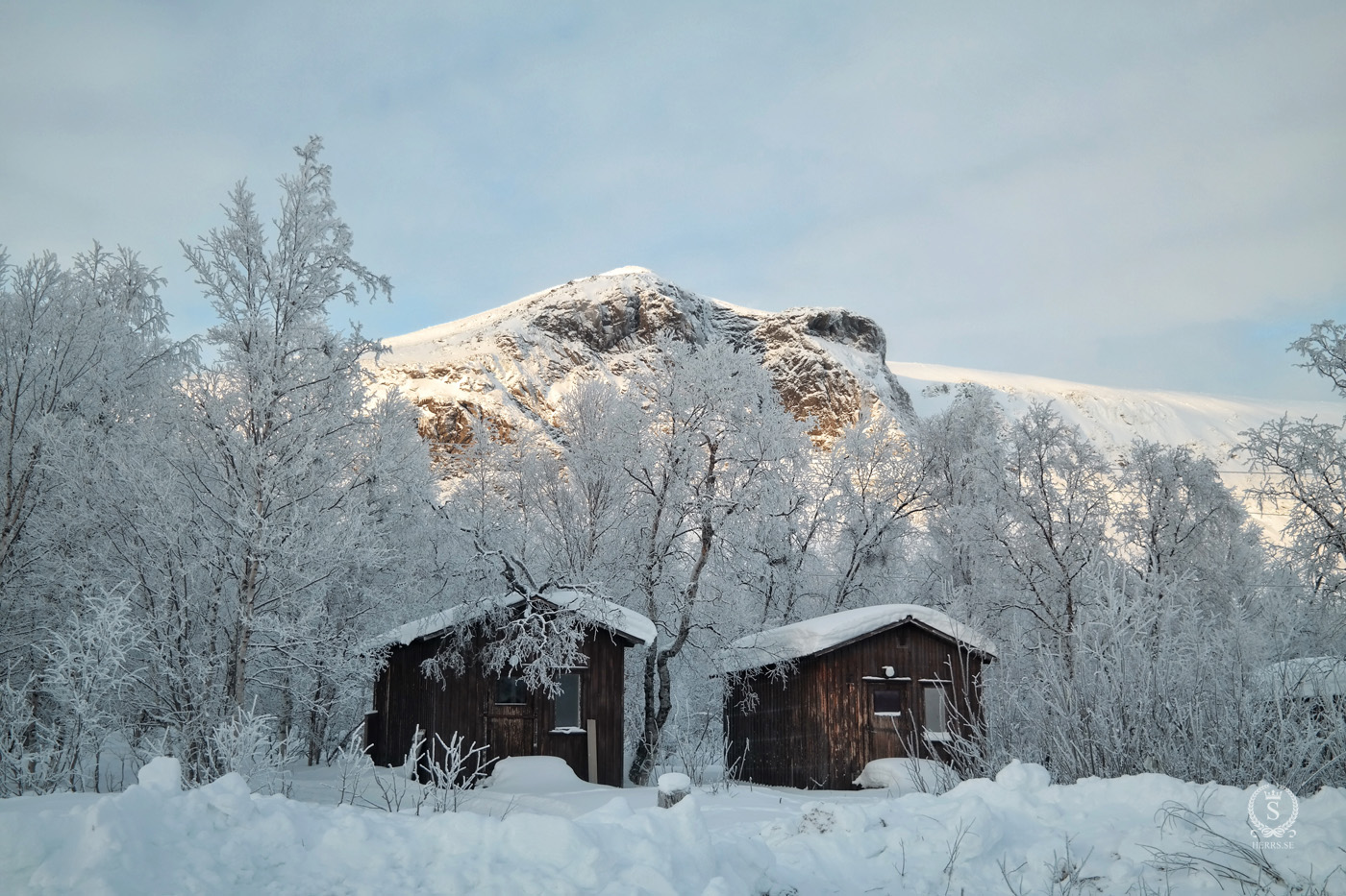 Stora Sjöfallet National Park - Herr S