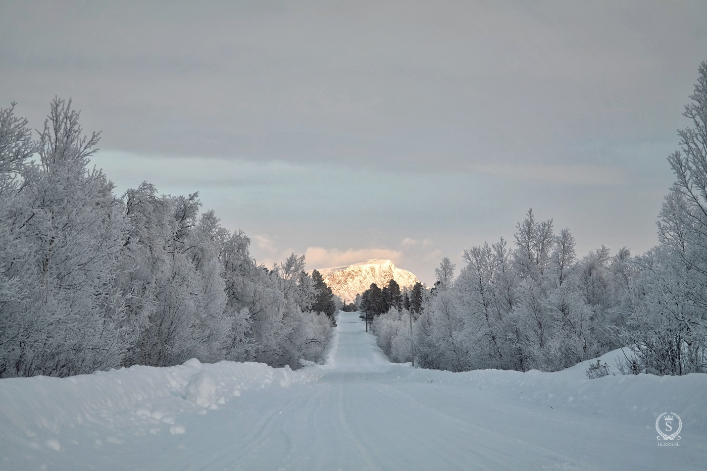 Stora Sjöfallet National Park - Herr S