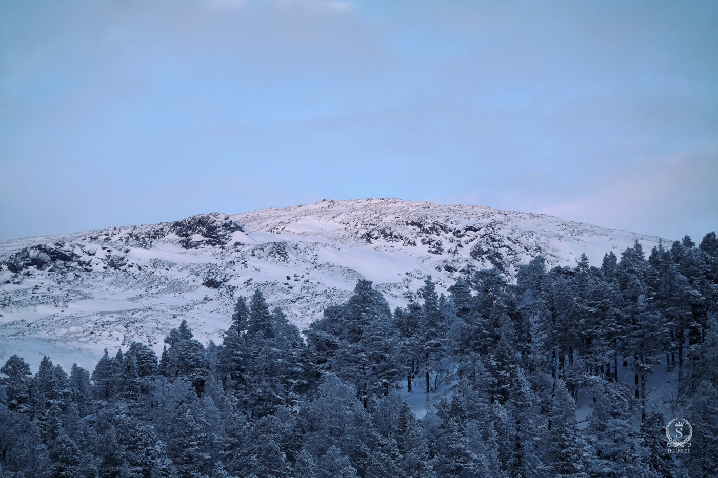 Stora Sjöfallet National Park - Herr S