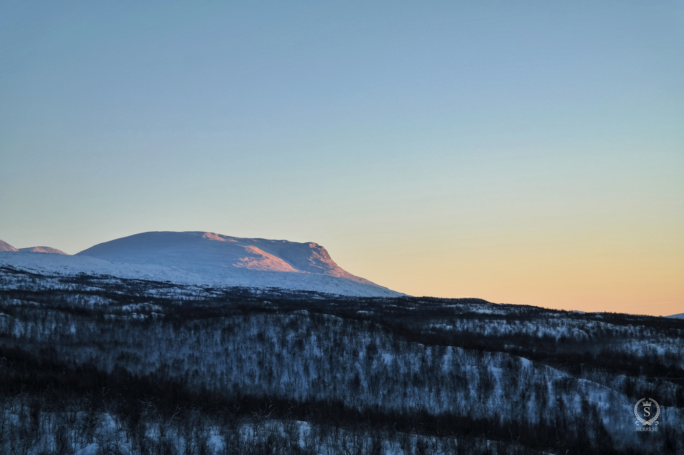 Stora Sjöfallet National Park - Herr S