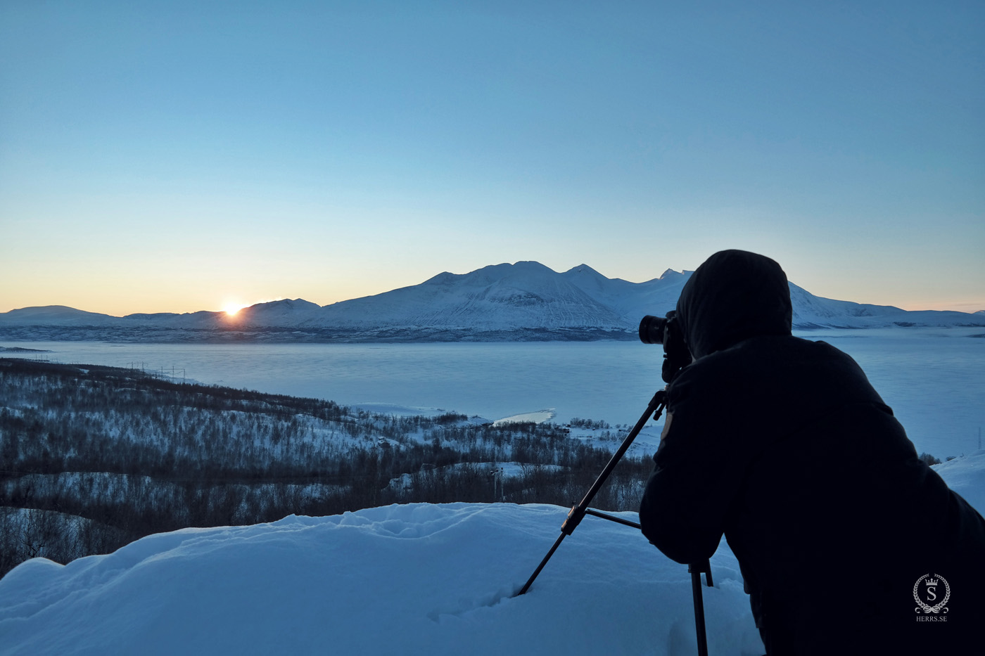 Stora Sjöfallet National Park - Herr S