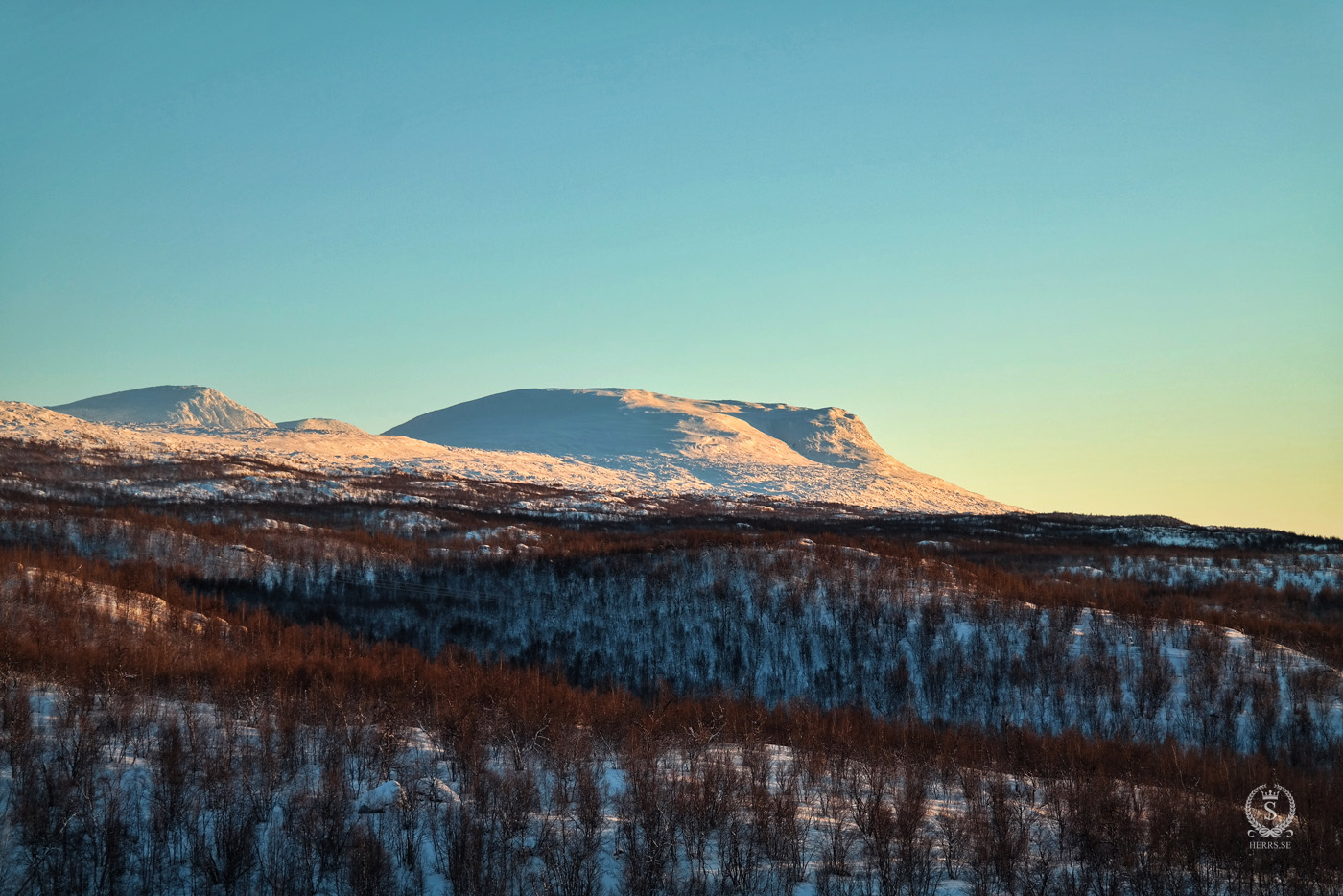 Stora Sjöfallet National Park - Herr S