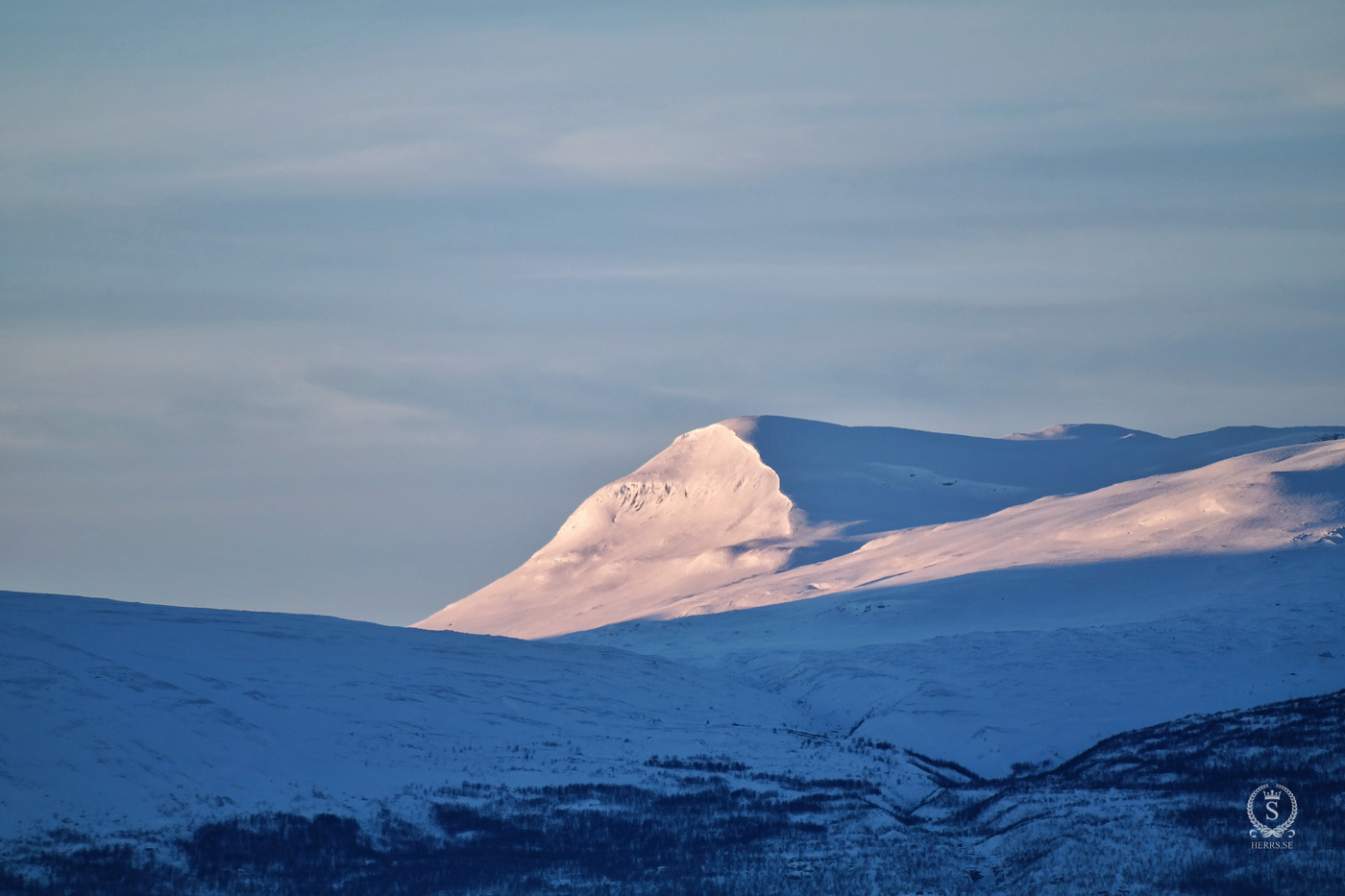 Stora Sjöfallet National Park - Herr S