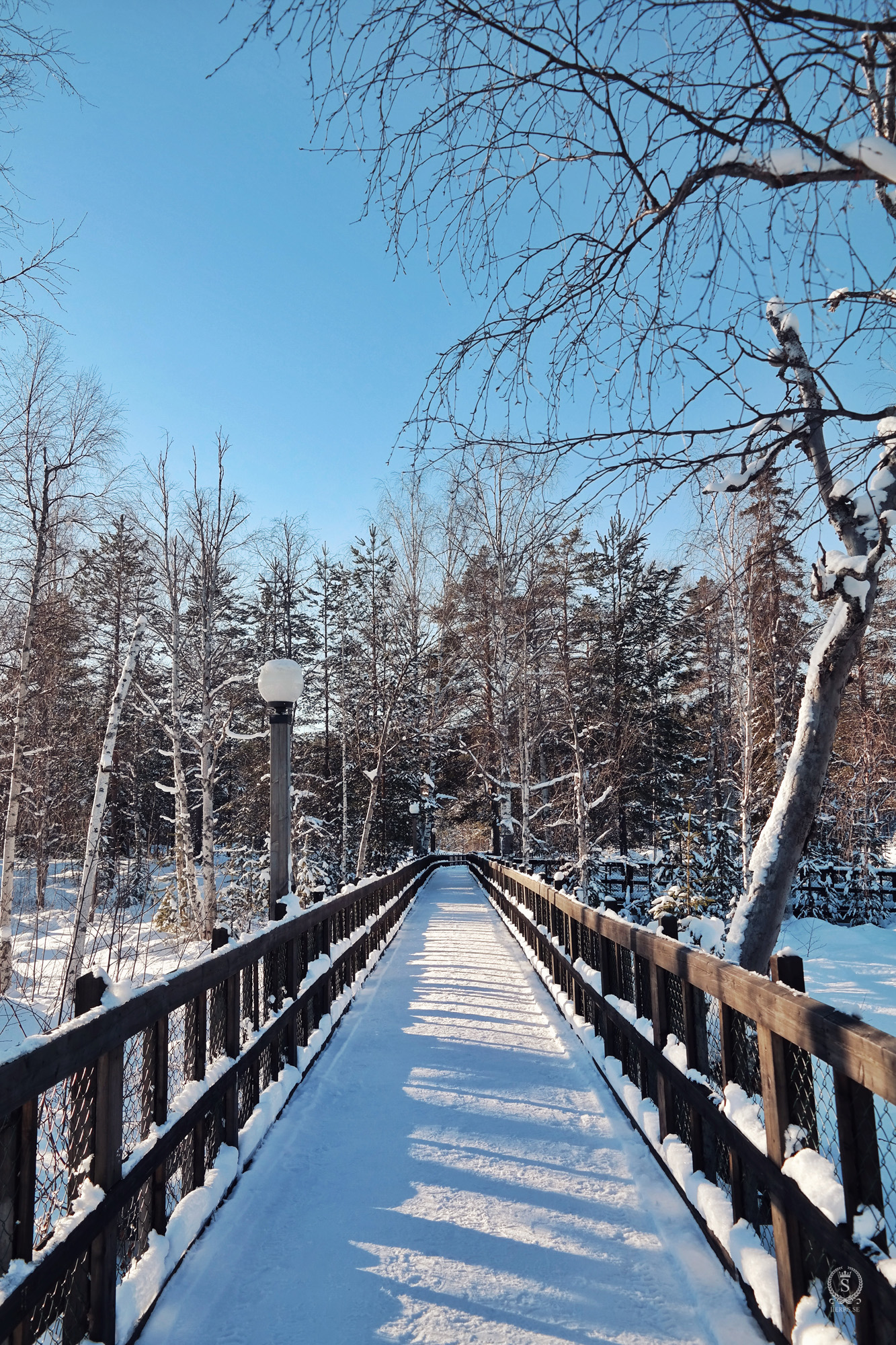 Storforsen Älvsbyn - Herr S