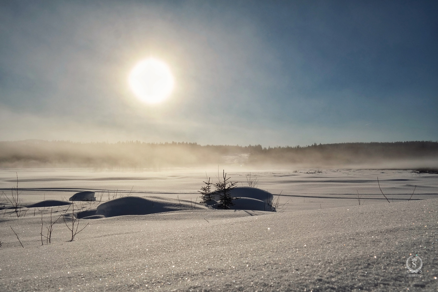 Storforsen Älvsbyn - Herr S