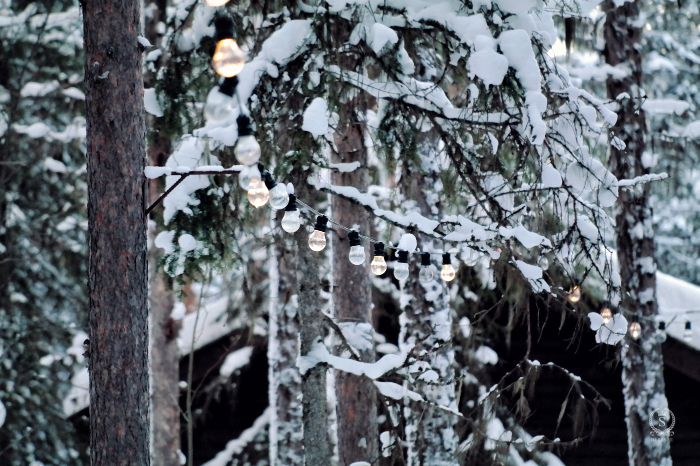 Storforsen Älvsbyn - Herr S