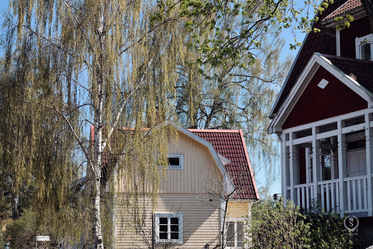 Gamla Enskede Vårmarknad - Herr S