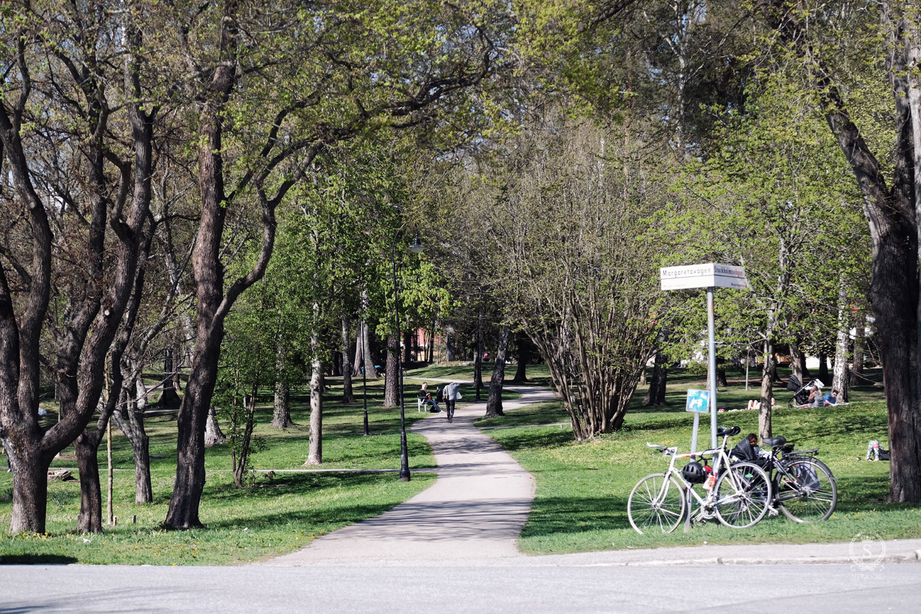 Gamla Enskede Vårmarknad - Herr S